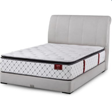 5' x 14" PPS 1300 TEMPSMART 5.0 REGINA 1 (FIRMNESS-7) 