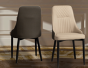 DCCHR-581 DINING CHAIR (WHITE+BLACK) (TT1077)