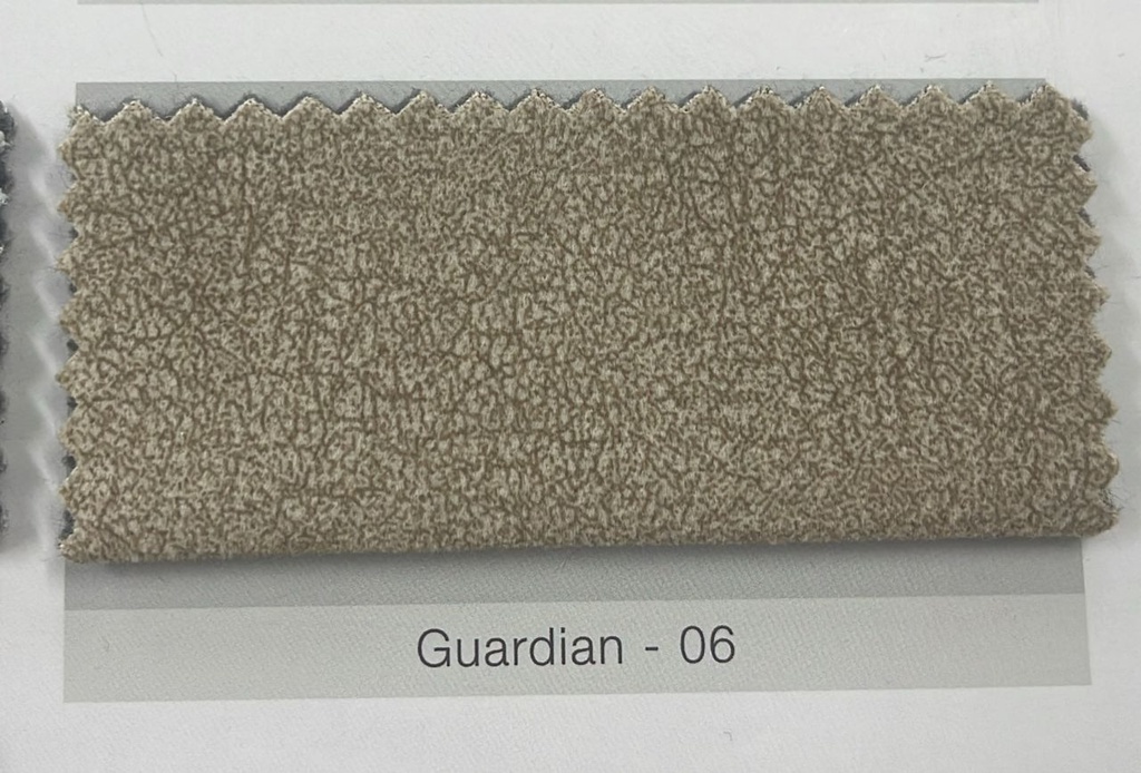 SF3207 2+R SEATER SOFA (GUARDIAN06)