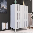 SC-00549 SHOE CABINET