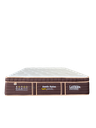 5' x 14" SLEEP TEX PLUS TOP P.SPRING MATTRESS