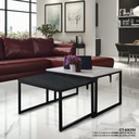 CT-KK250 COFFEE TABLE 