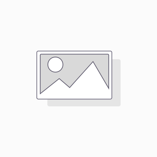 53006-SLGY